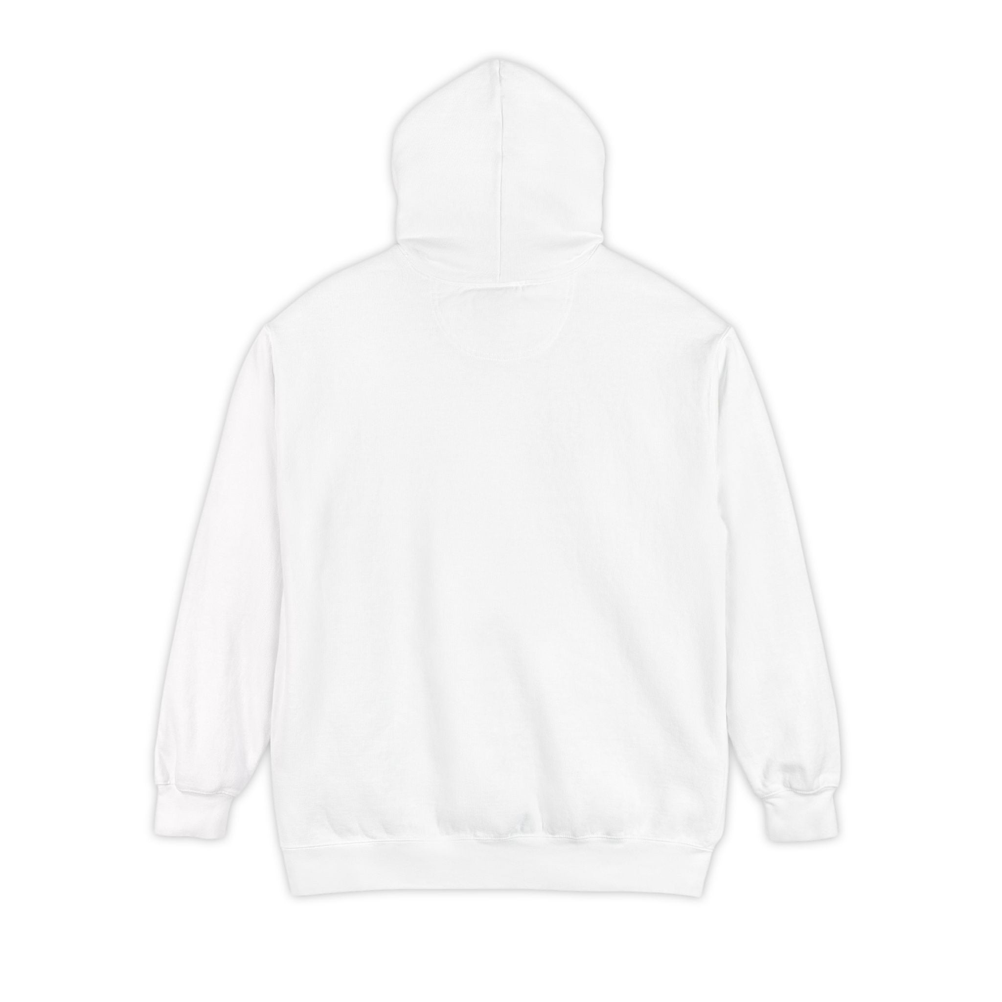 Past House Flagship Hoodie
